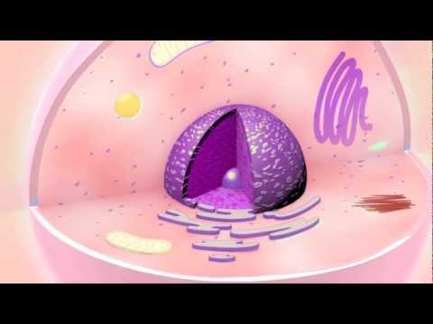 Forever Young Club – Luxury Skin Membership